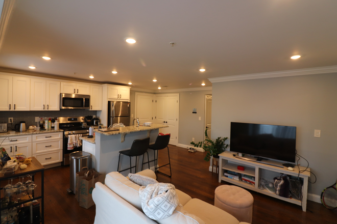 Living/Kitchen - Lovely Modern 3BD/2BA in Mission Hill/JP! In- Apartments Unit Washer/Dryer, Off-Street Parking Available