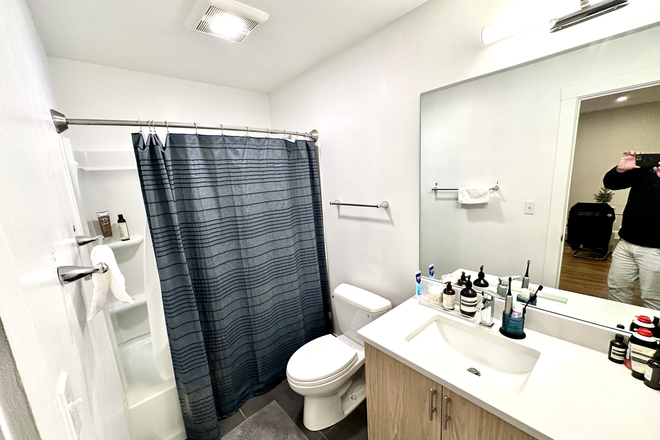 1 - Simmons of campus building on Beacon Street Short Walk from Campus 9/1/26 NO FEE Undergrads okay ! Apartments