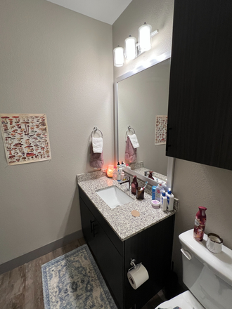 Bathroom - Elara at the Sawmill Apartments