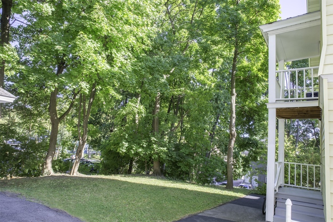 Backyard - 737-9 Ackerman Walk to SU, ESF, Shops & Cafes. Free Bus at Corner. Quiet L/XL Rms for Serious Study Duplex