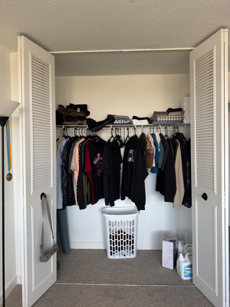 Closet (all clothes will be removed) - Spacious, bright, fully-furnished 1 BD for Winter Apartments