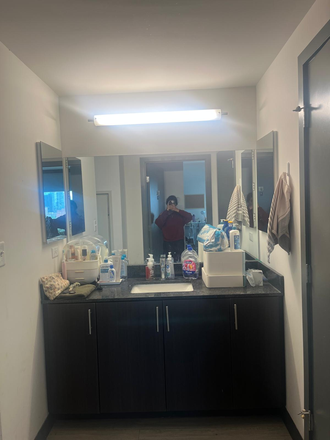 Makeup area, wash basin - LightView sublet Apartments