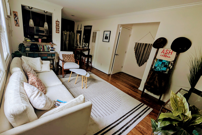 Living Room - Sunny Corner 1B/1B, Walking distance to 816 bus, supermarket, and cute spots! Condo