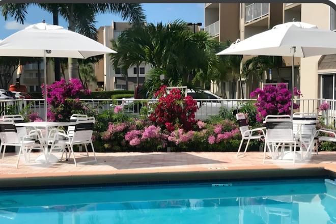 Pool - Room for Rent/Furnished Apartment