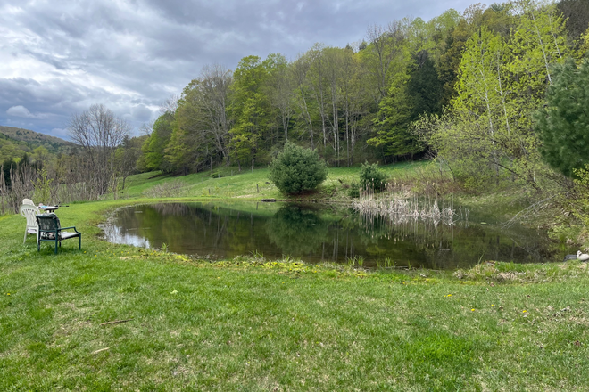 Pond with private forested land behind. - House on 38 acres with pond, privacy, easy 10 minute commute to VLGS