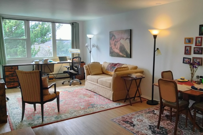 Living Room - Sunny, spacious, quiet, furnished 1-BR in great location Apartments