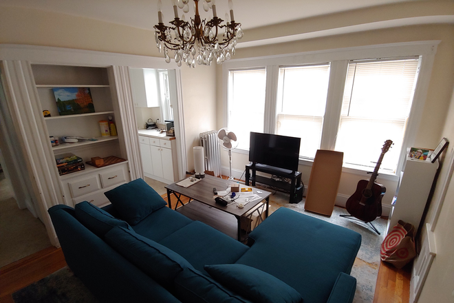 Living Room View 2 - 3 Bedroom Apartment Somerville: Porter/Davis/Ball Square