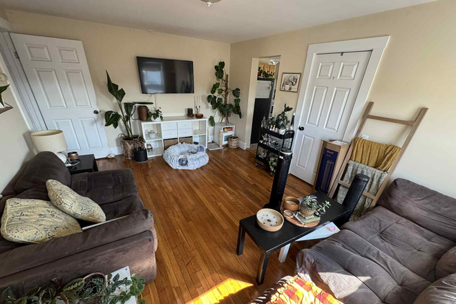 - - No Broker Fee!! Short Drive/Commute to Campus! Spacious 3 bed 2 bath w/ Laundry Apartments