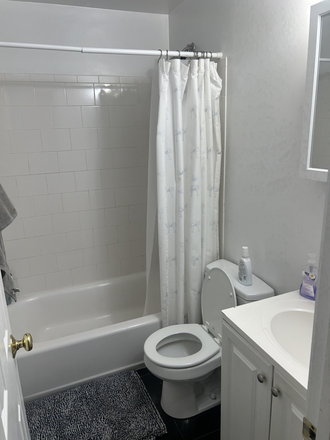 Bathroom - Cute Apartment in Symphony, Looking for a female roomate to take over half of lease