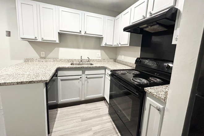 Kitchen - Newly Renovated 3 Bedroom Apartment on Ruggles St