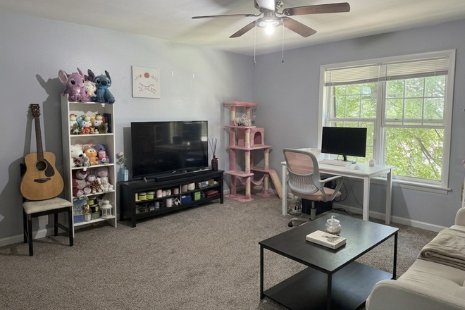 Living Room - Fully Furnished Apartment Close to Campus