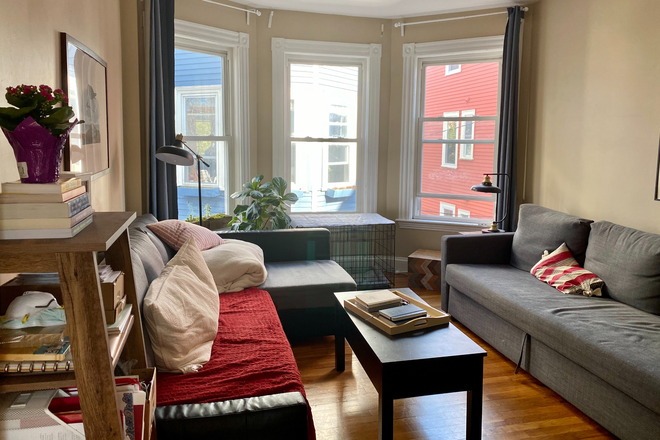 Living Room - Lovely Furnished Apartment 10 minute walk from Harvard Yard