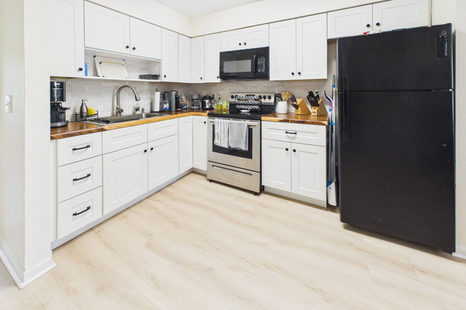 Kitchen - Renovated 3BR Duplex Near USF | In-Unit Laundry & Parking Duplex