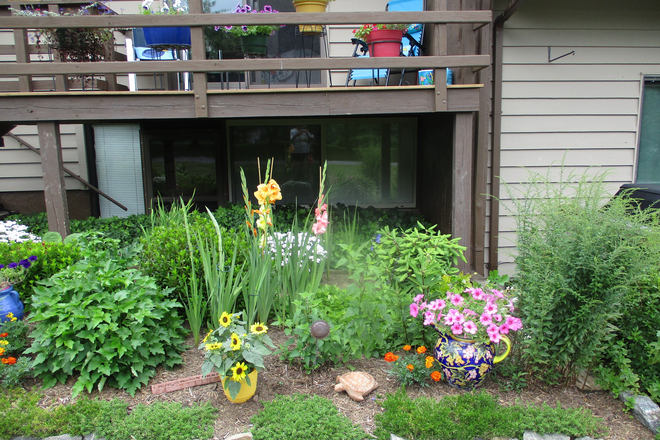 Exterior -- back entrance (under deck) - small efficiency apartment in my basement