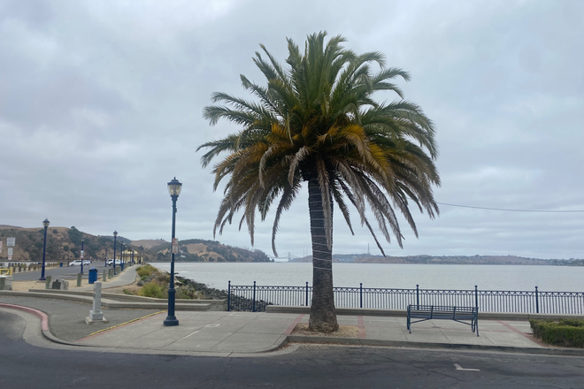 Nearby Waterfront - Fabulous Benicia Waterfront Townhouse to Share