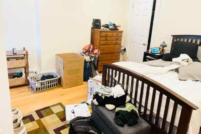 bed - No fee!Fantastic location! renovated apartment near MIt, redline, Central sq
