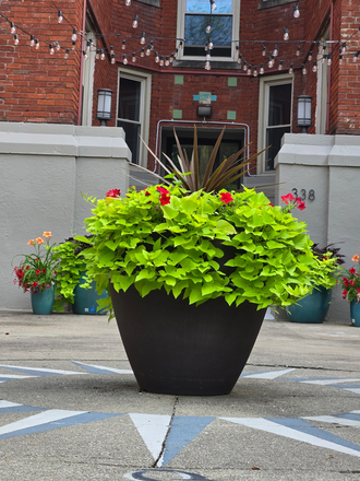 Front courtyard - The Inn on Forest; Free first months rent and half off security deposit. Apply now Apartments