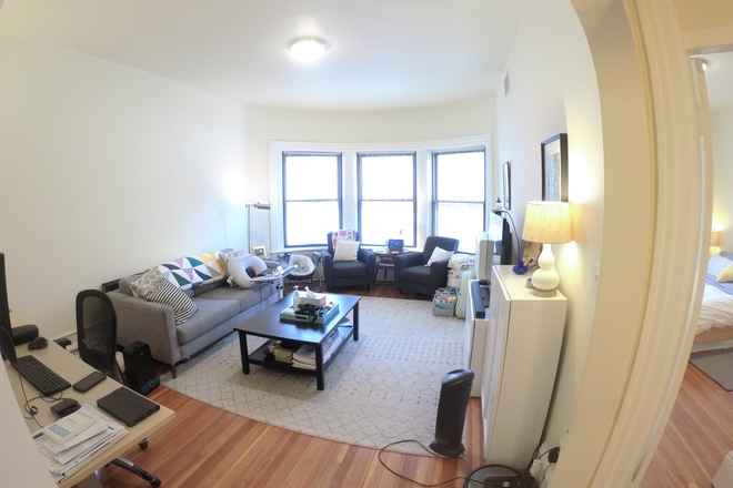 living room - Sunny Coolidge Corner 1 bed with A/C Apartments