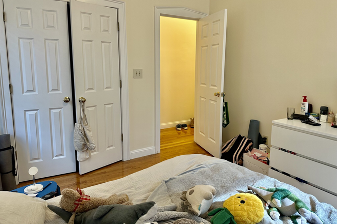 1 - Large 1 bed no Fees Walk to Green Line Packard Corner Avail 9/1 Apartments