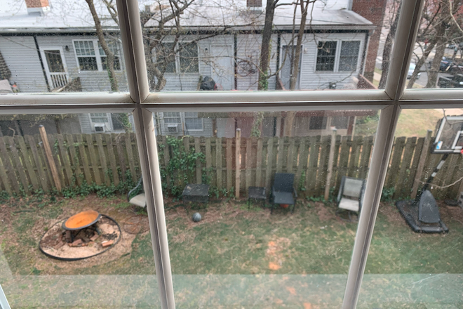 Backyard - Two Bedroom + Den Apt in Glover Park - Hardwood Floors - 50 feet to Bus Line