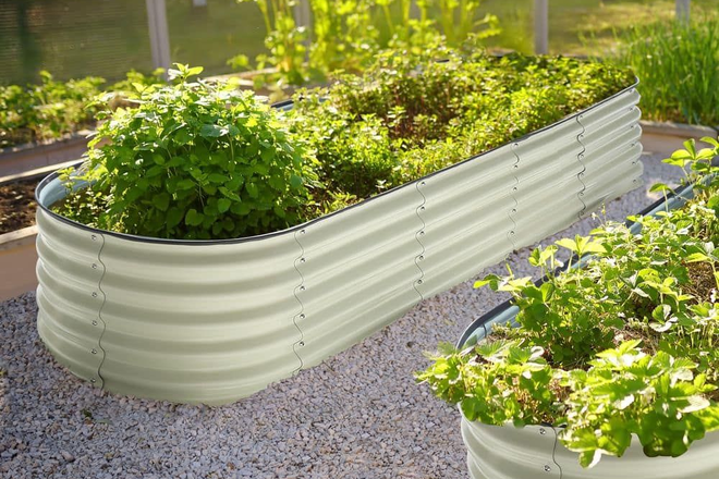 Garden Area - Studio Apartment Directly Across from UMass