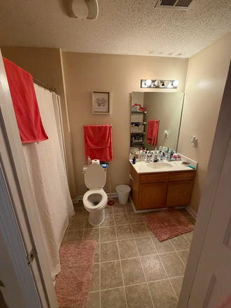 Bathroom - Mountaineer Village Apartment