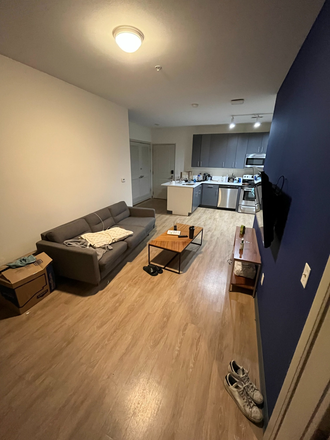 Living room - Lark on Main SUMMER SUBLET, 4B4B, Balcony (Single room sublet/more)