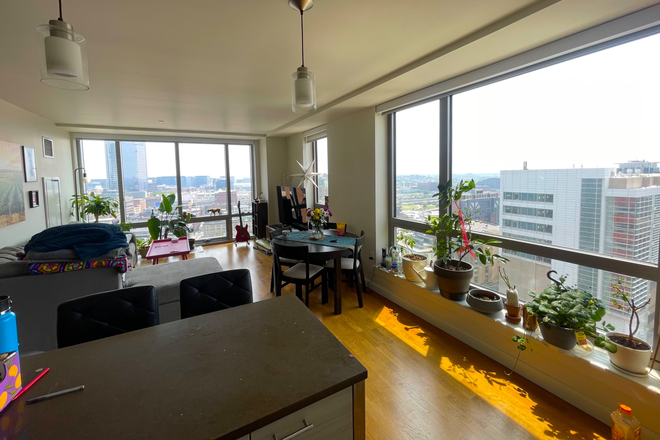 Living room - Separate 1 bed/1 bath in Beautiful 2 bed/2 bath Downtown