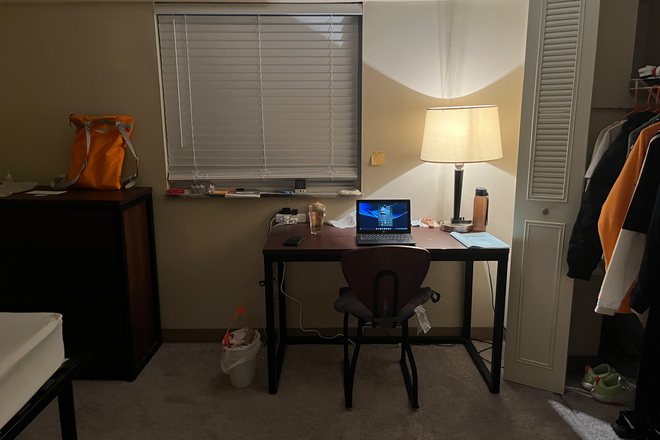 Bedroom-Desk - Apartment for Sublease near UTK, Knoxville || Men Preferred!