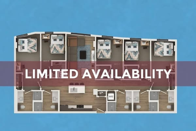 Unit Layout - Lease Transfer for 5x5 at the Rev on Northgate Apartments