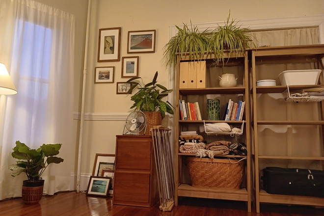 Bedroom Shelves (included) - Large, Cozy Room for Rent 08/01 Near SEAS & HBS Apartments