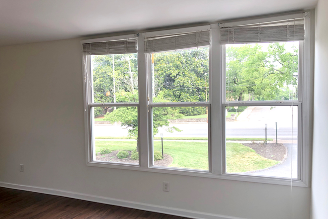 great view - Beautiful West End Loft Condo