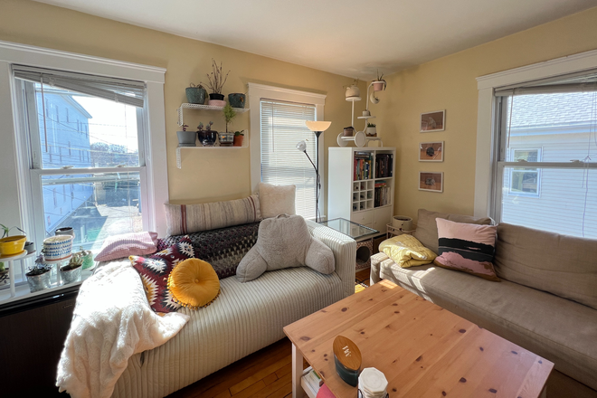 living room - Bright & Sunny 3 Bed / 1 Bath with private porch! Available 9/1/26!! Apartments