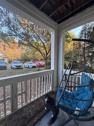 Outside - Chandler at University Tower