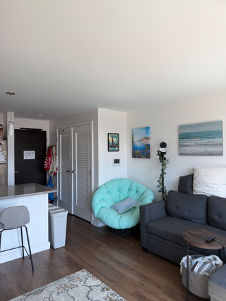 Entry way - Bright modern 1B1B on HBS campus (Summer Sub) - Fully furnished, In-unit utilities, Great amenities Apartments