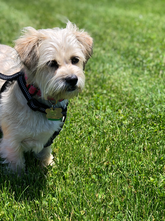 Photo - Graduate student, visiting scholars House