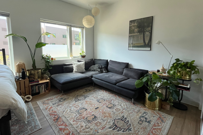 Living space - Studio for PU grad student only-Court Dr (Meadows grad housing)-Princeton Apartments