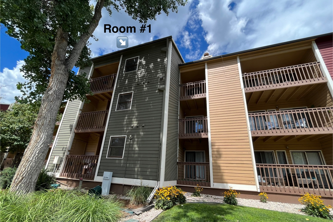 Outside view - 2 Bed, 2 Bath in Sunny Condo, 0.2 mile bike/ walk to campus on paved path along beautiful creek,