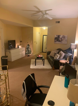 Living Room - Awesome 1 bedroom very close to campus