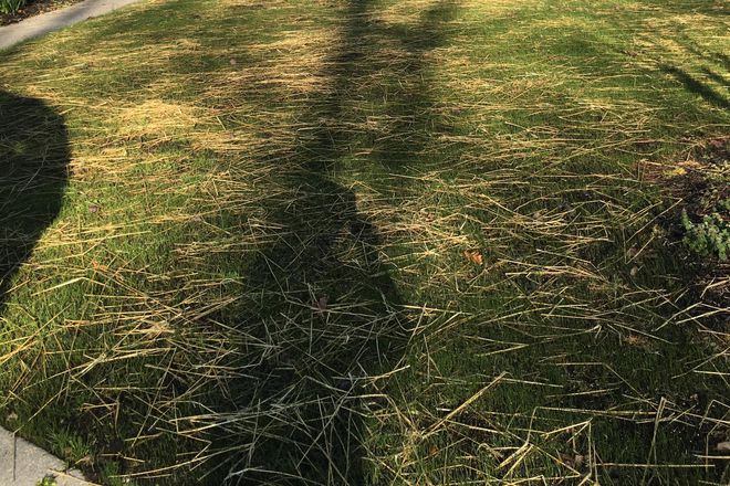 4 bedroom Ranch in City - 233 Tyler Brooks Drive Williamsburg, VA 23185  (10 minutes from Campus) House