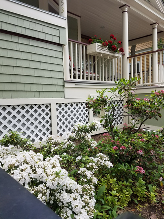 Front garden - 1 bedroom furnished apartment in Harvard Square, close to transportation, groceries, all services
