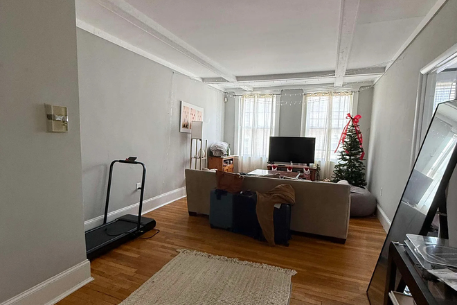 livingroom - 110 Lanark Road, Brighton - Recently Renovated Apartment Unit