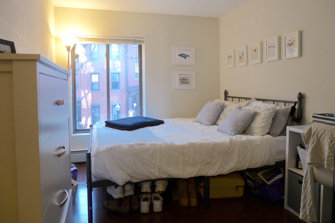 bostonrealtyonline.com - Pristine South End Three Bed on Tree Lined Street Apartments