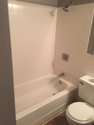 bathroom - 308 Clara Ave, unit 13,  0.9 Miles from Campus, WashU Shuttle stops at Front Door of Building