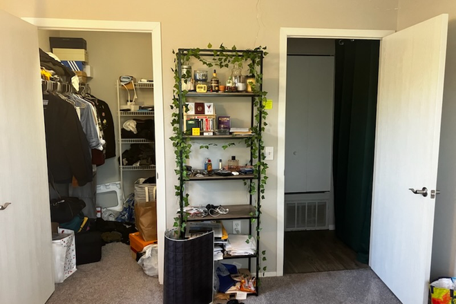 bedroom large walk-in closet view - Seeking roommate; room available in 2b2ba apartment