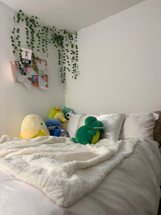 full size bed provided - 2027 Spring Sublease Available- Richmond Lane Foxridge, 3rd Floor