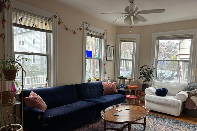 Living Room - Summer sublet in Inman square with posibility to extend lease