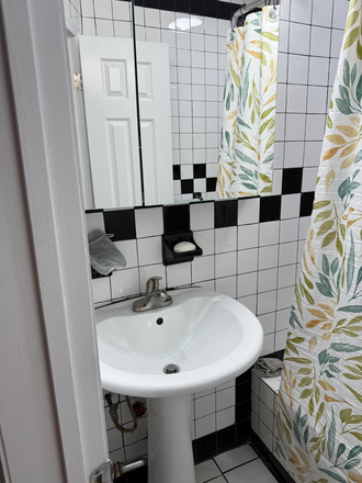 Bathroom - Washington Heights Roommate Search (2) Apartments