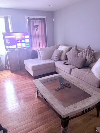 Living room area, TV, Roku, Wifi - New Unit Clean, Cozy and Quiet (Furnished or Unfurnished) Apartments