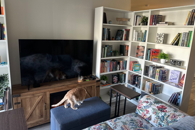 Living room - Unfurnished Room, Private Bathroom, New Appliances